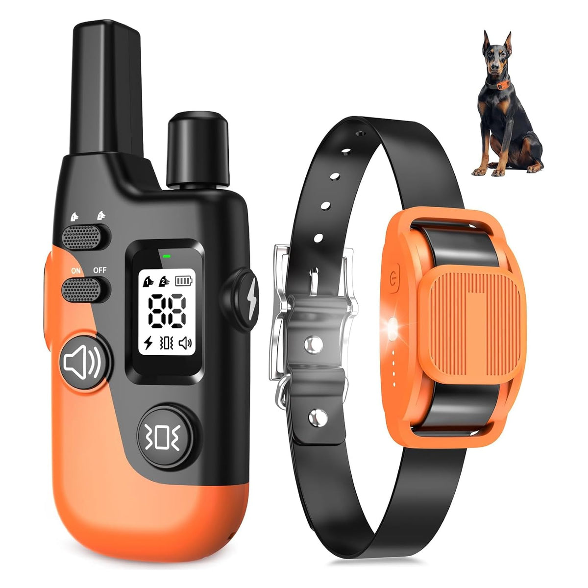 Dog Training Collar with Remote D3176