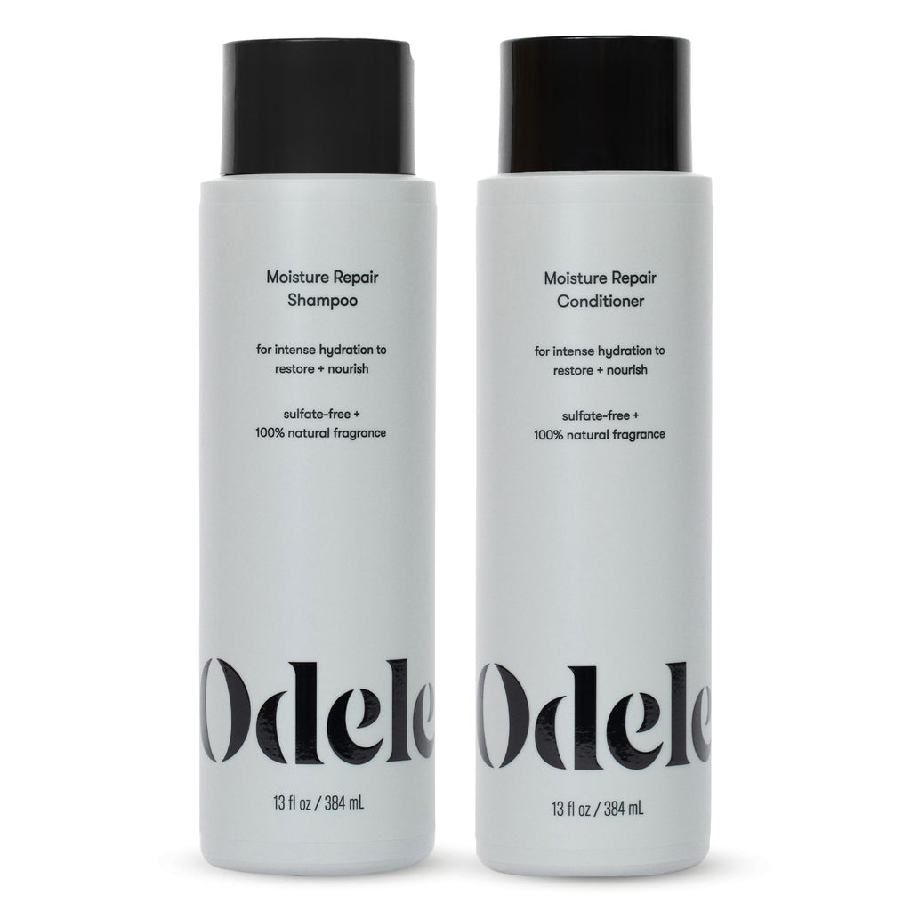 Sulfate-Free Shampoo & Conditioner Set, 13 fl oz Each B253