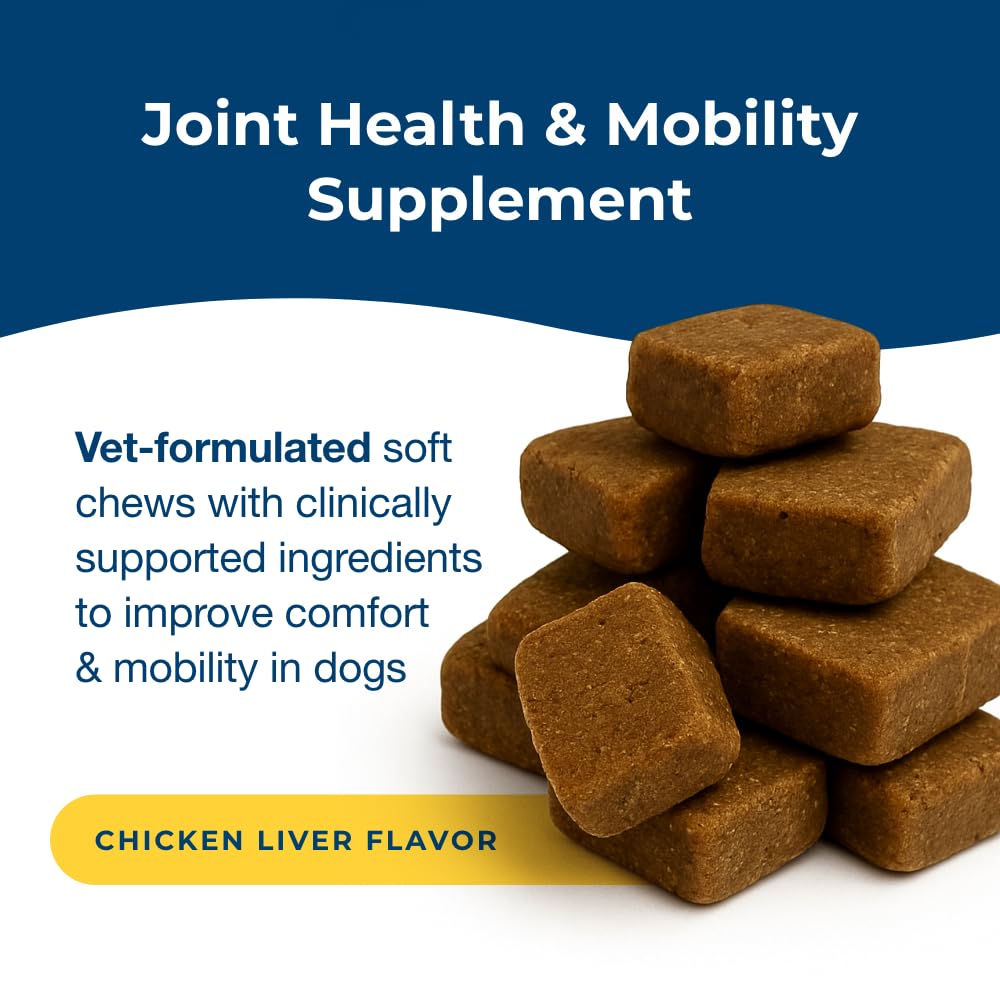 Joint Health & Mobility Soft Chews for Dogs 45 Count K192716