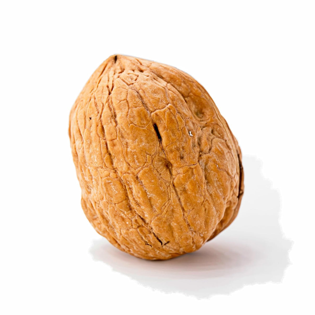 California Grown Whole Walnuts In Shell, 25lb X407