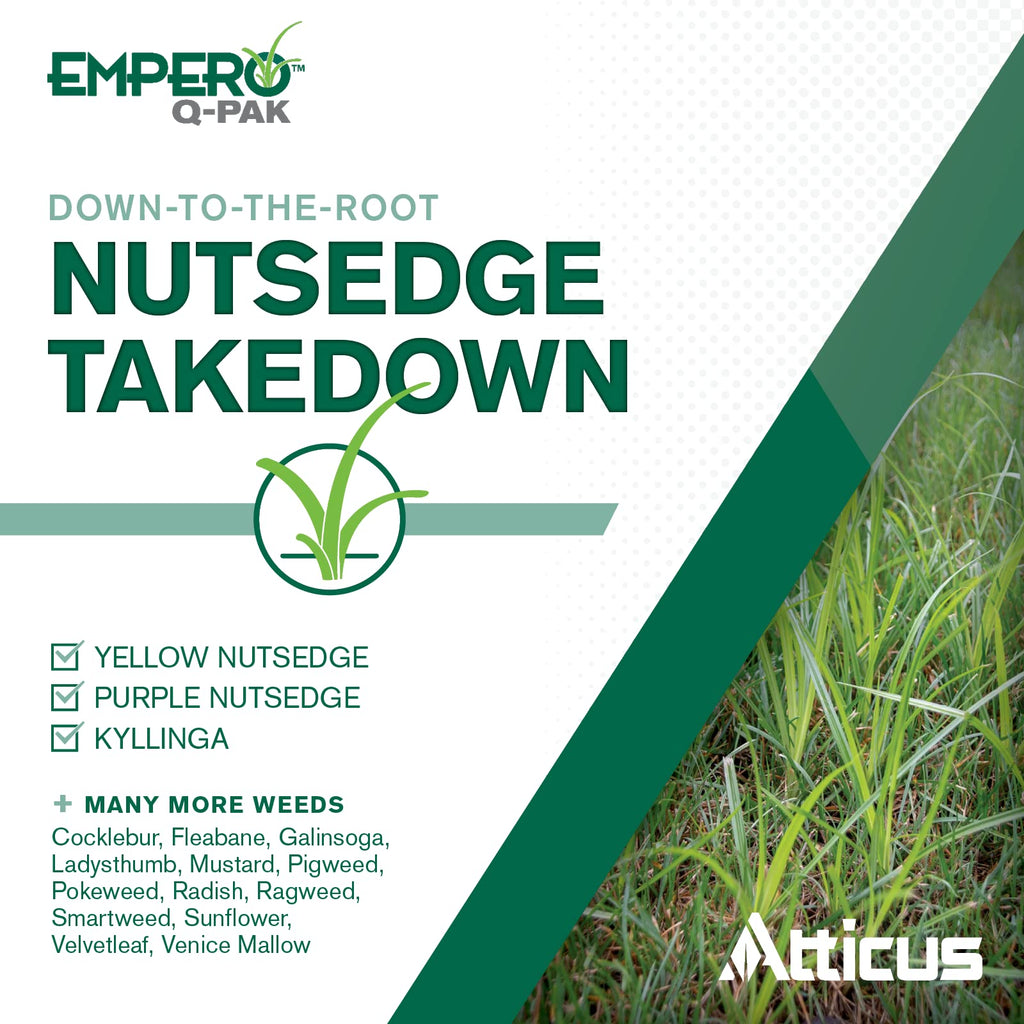 2 Pack Turf Herbicide R731300