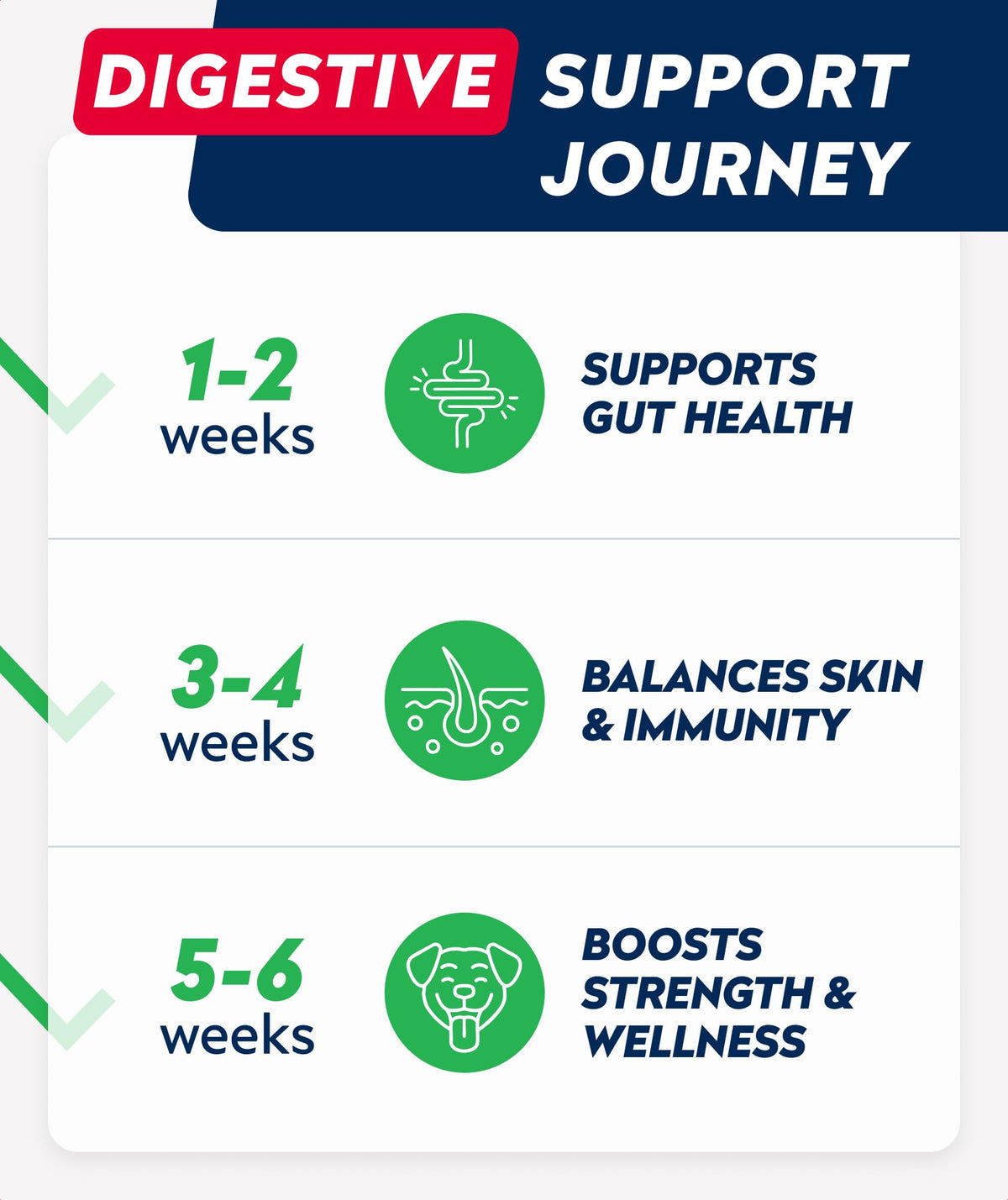 Dog Probiotics with Enzymes and Fiber I4069