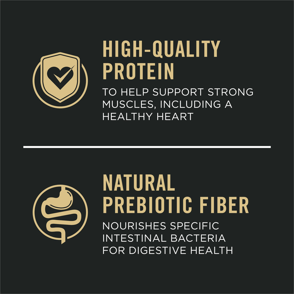 Salmon and Rice Dry Dog Food with Probiotics 15 lb N141