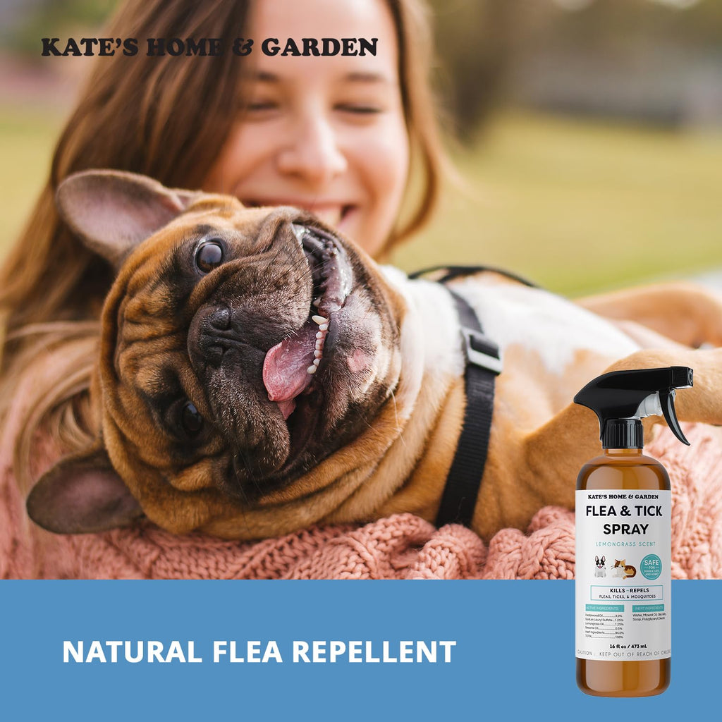 Flea and Tick Spray for Dogs & Cats 16oz C13969