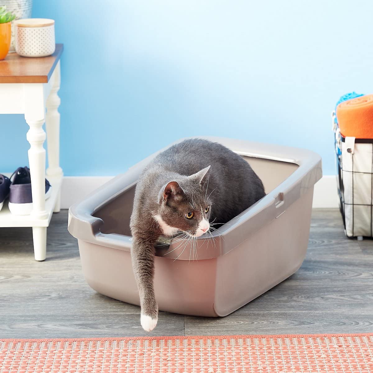 Cat Litter Pan with Shield Rim C869924
