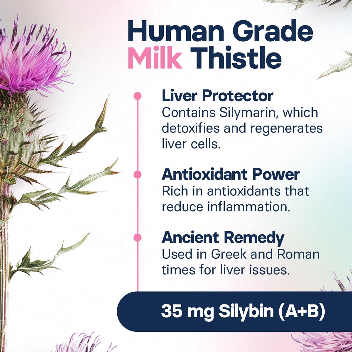 Milk Thistle Liver Health Supplement 30 Tablets Y918