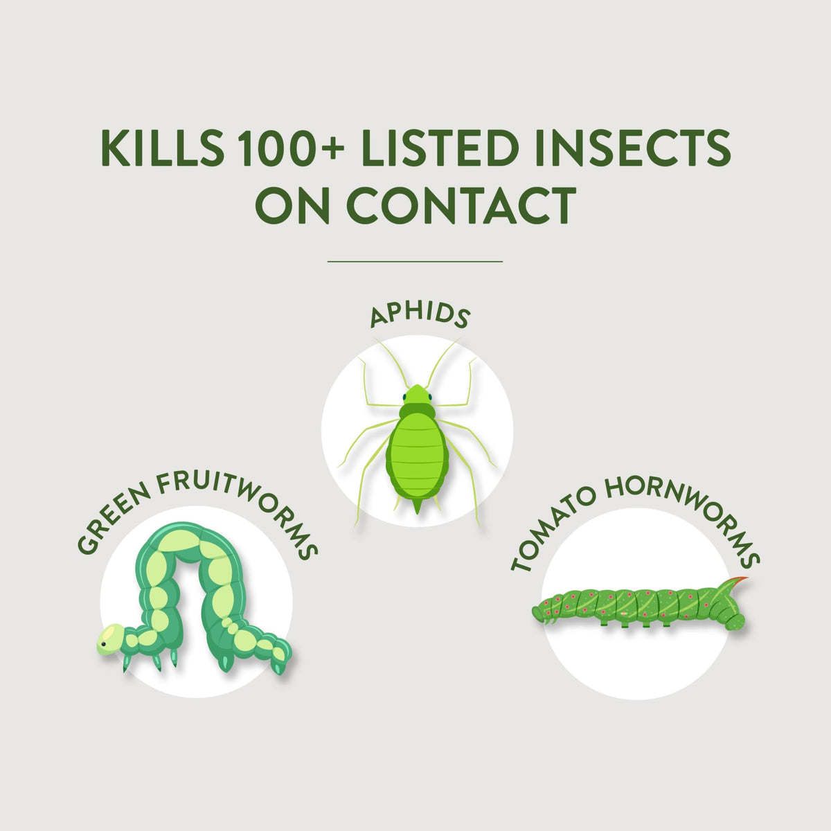 Multi-Purpose Garden Insect Killer 32Oz C72198