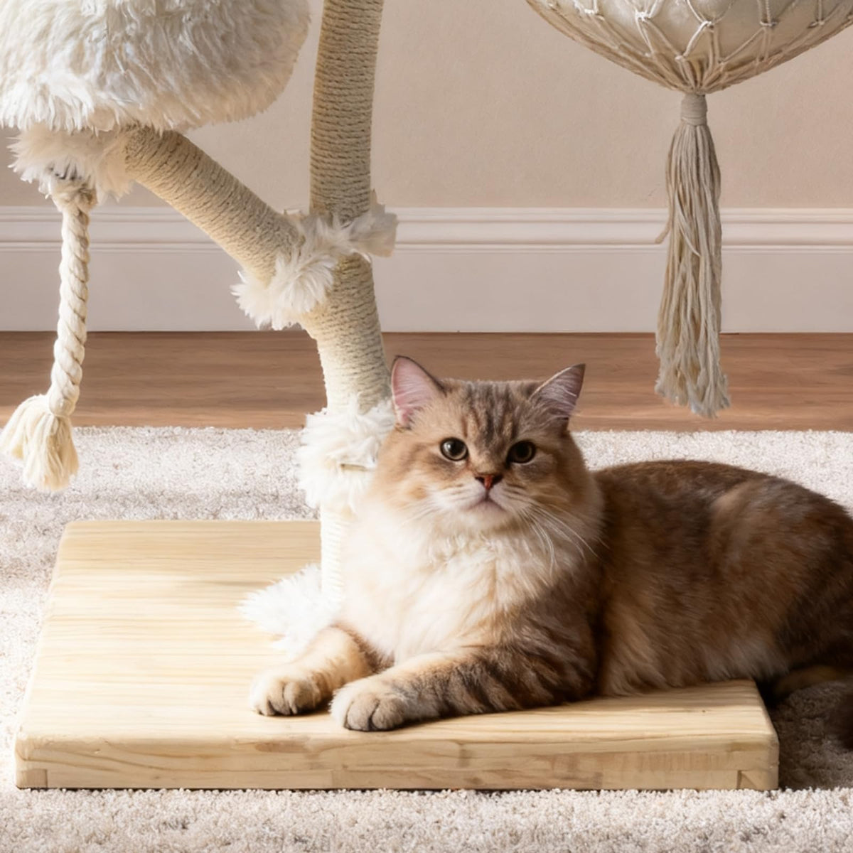 Solid Wooden Cat Tree K653