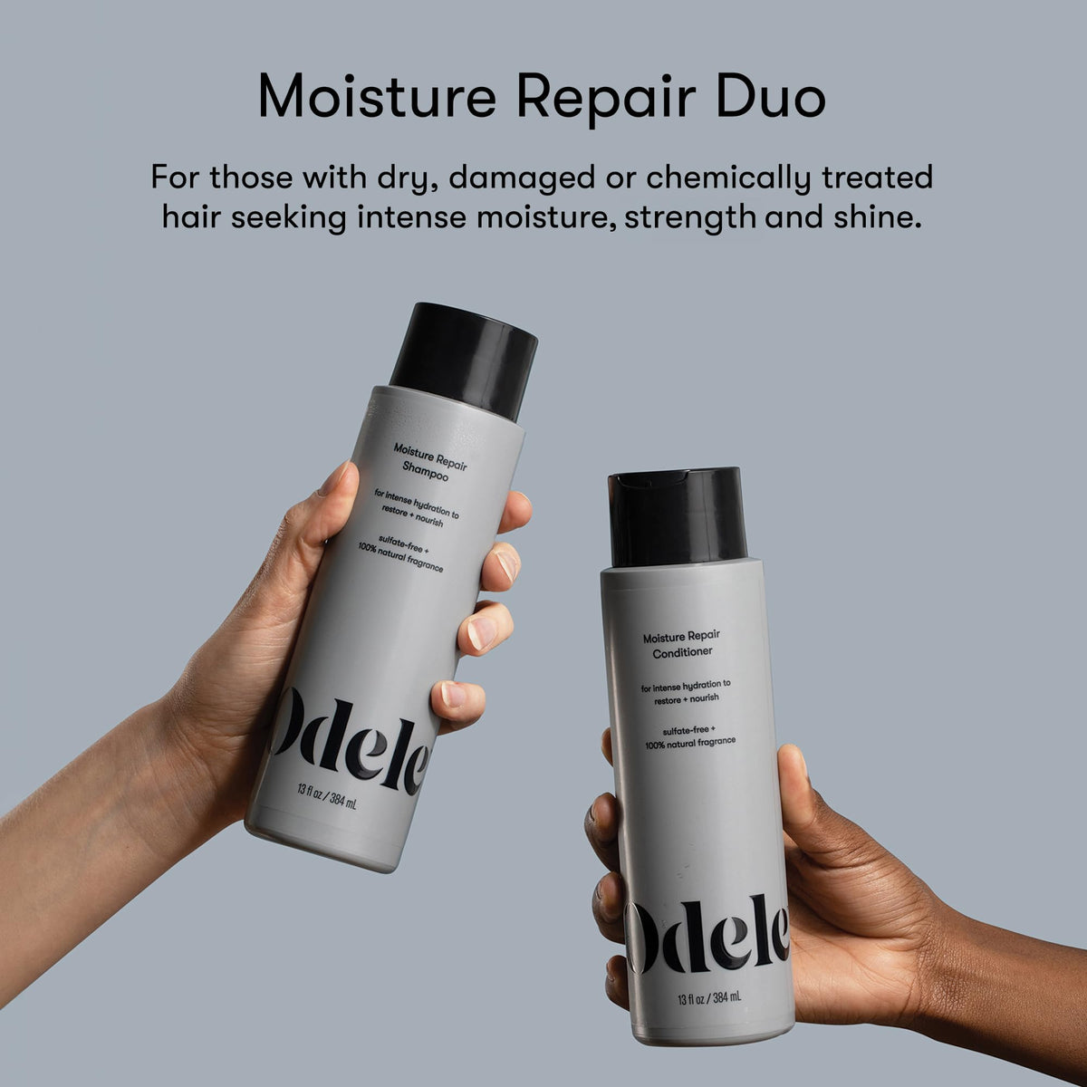 Sulfate-Free Shampoo & Conditioner Set, 13 fl oz Each B253