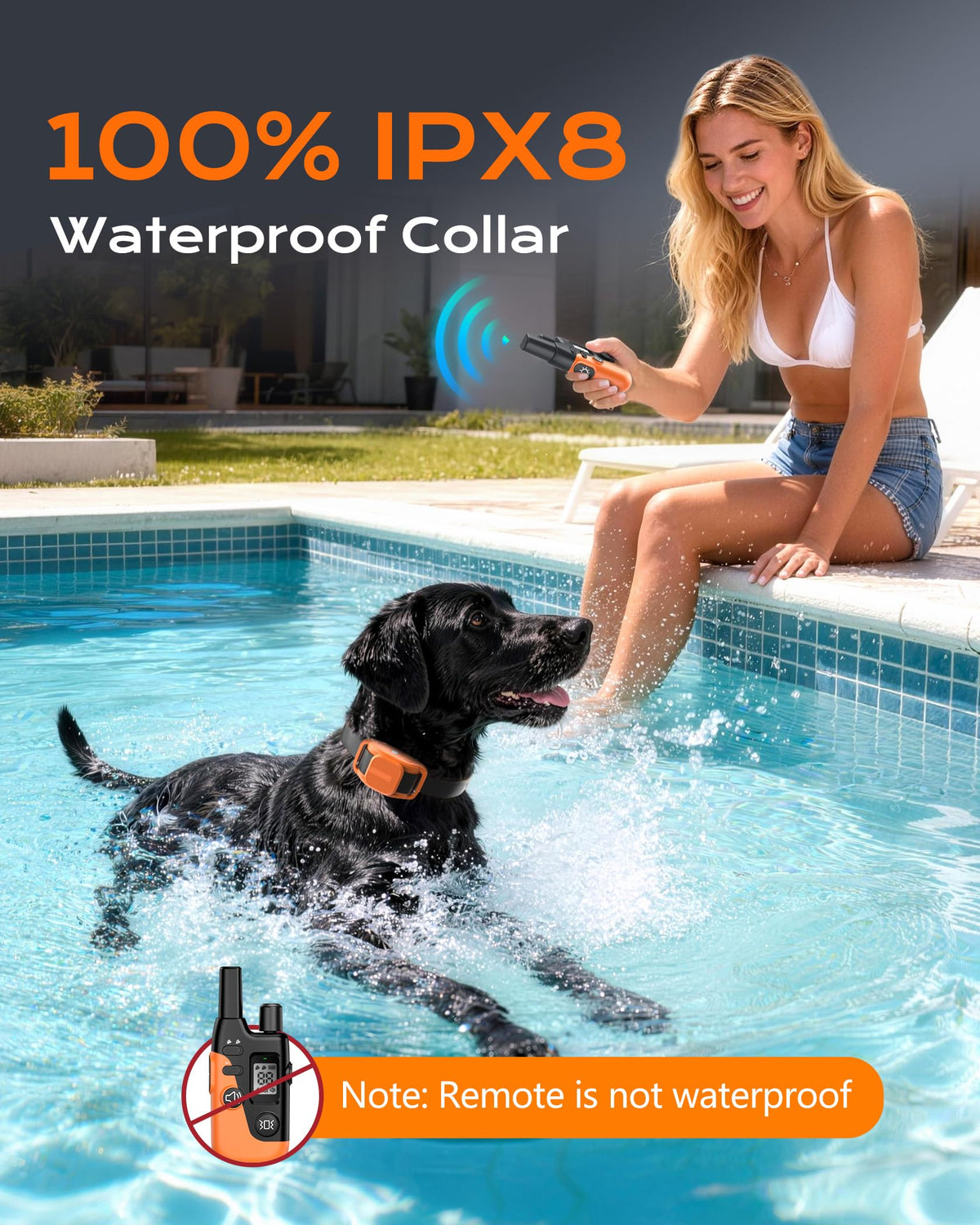 Dog Training Collar with Remote D3176