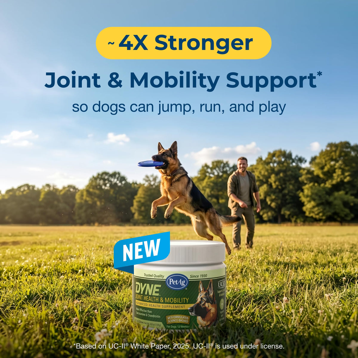 Joint Health & Mobility Soft Chews for Dogs 45 Count K192716