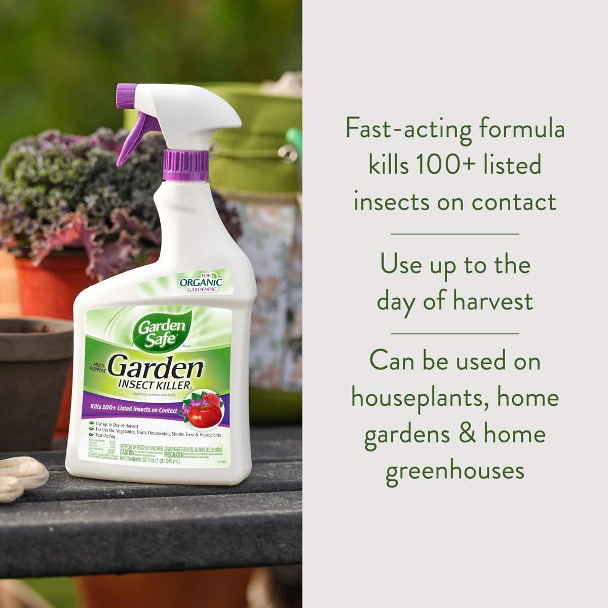 Multi-Purpose Garden Insect Killer 32Oz C72198