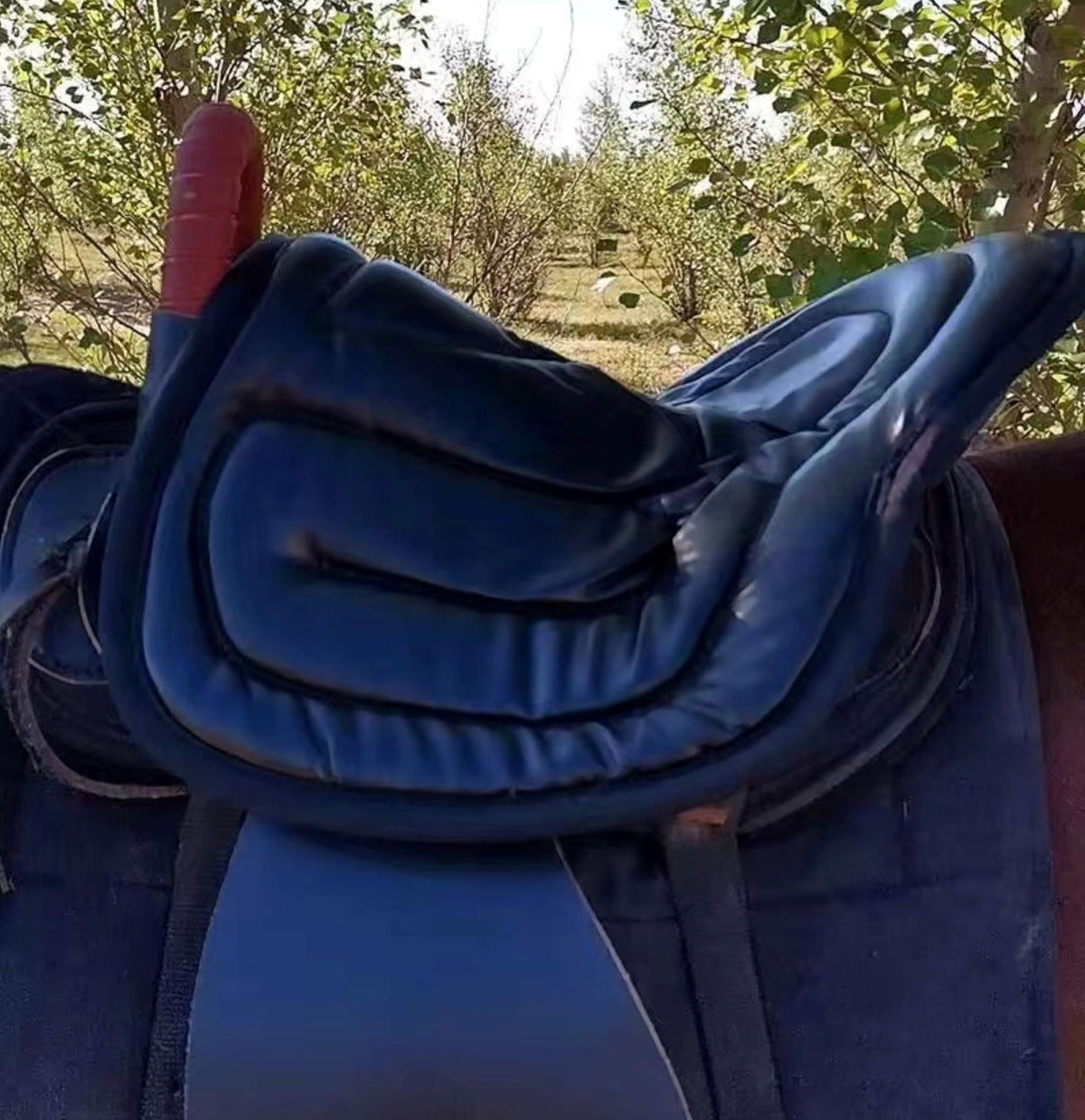 Western Saddle Cushion Pad D21836