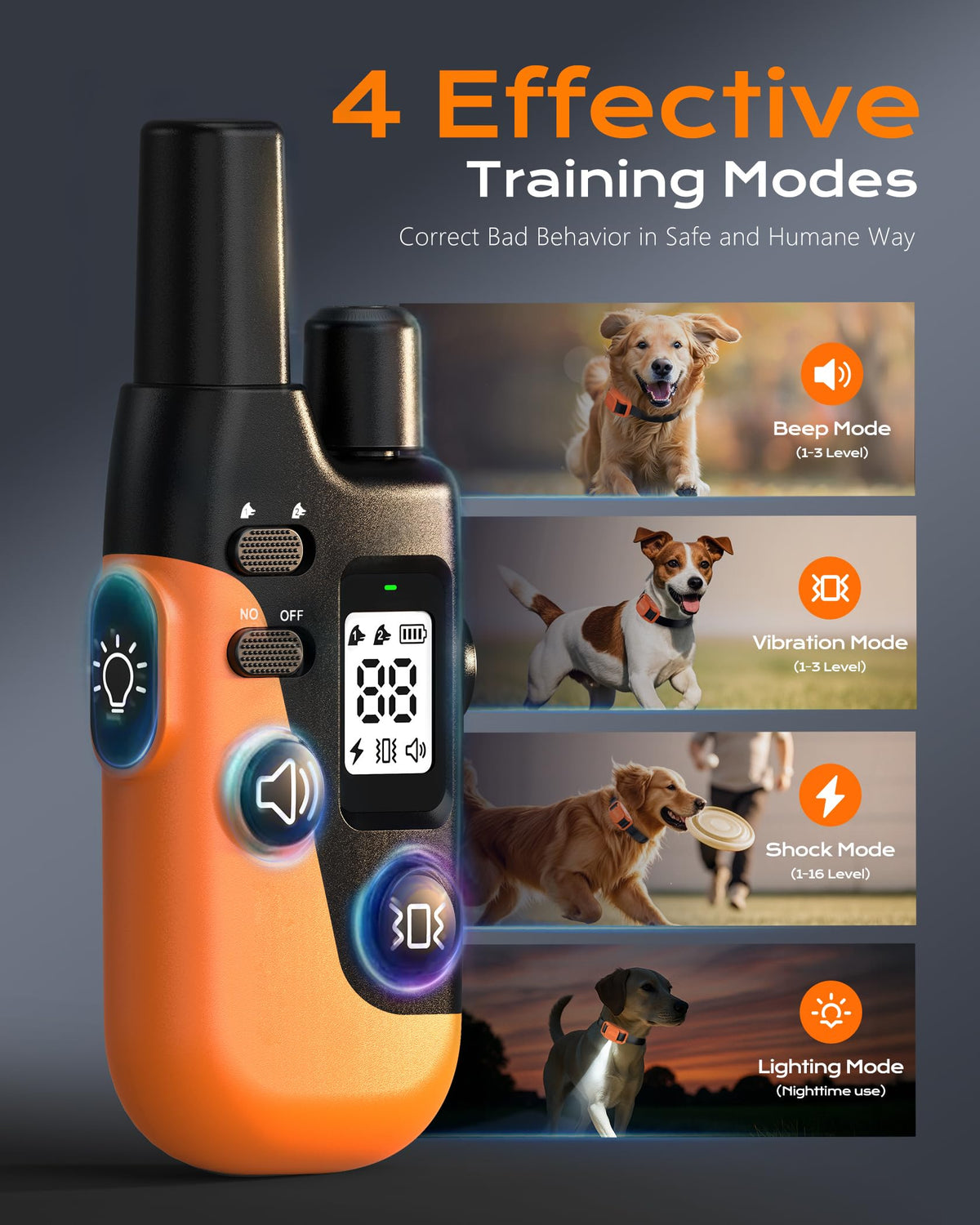 Dog Training Collar with Remote D3176