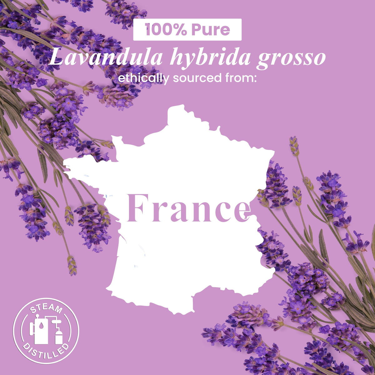 Lavender and Spearmint Essential Oils 2 x 4 Fl Oz D868838