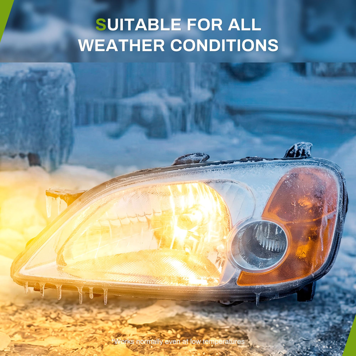 Headlight Assembly I1698