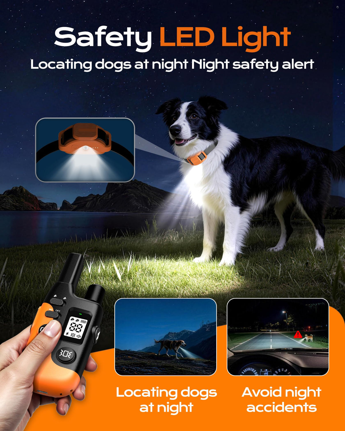 Dog Training Collar with Remote D3176