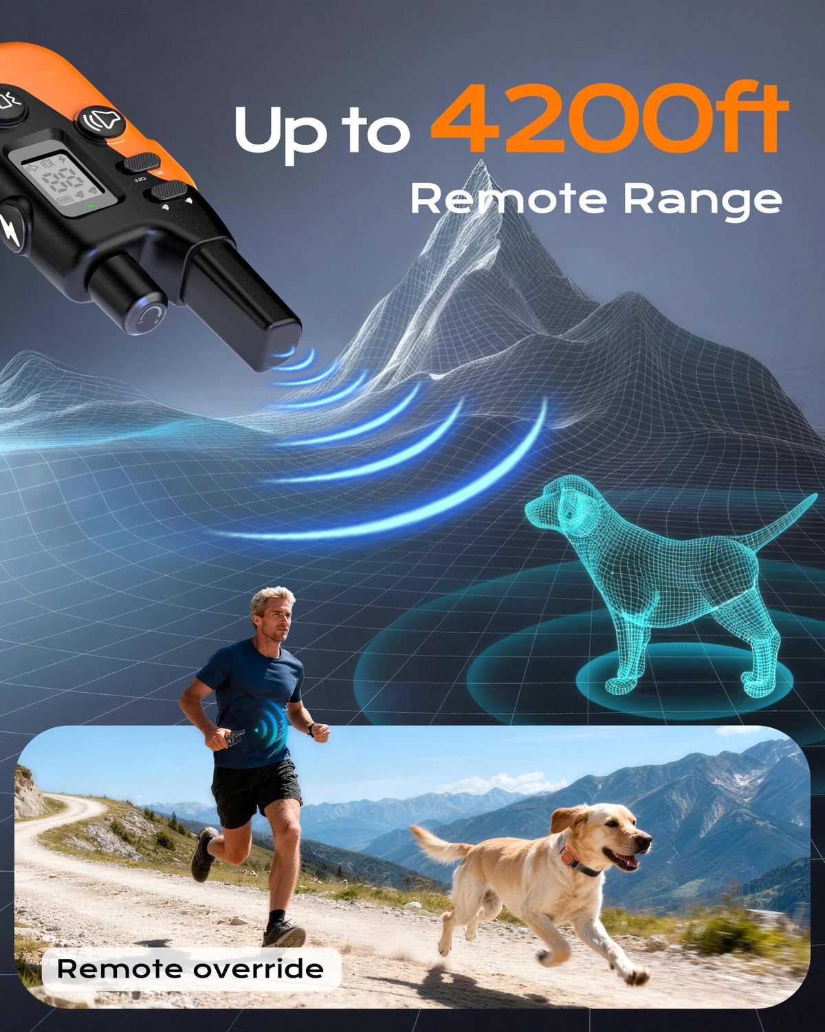 Dog Training Collar with Remote D3176
